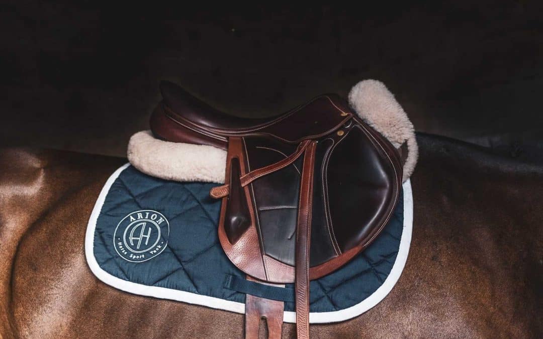 Why choose an Arion saddle rather than another?
