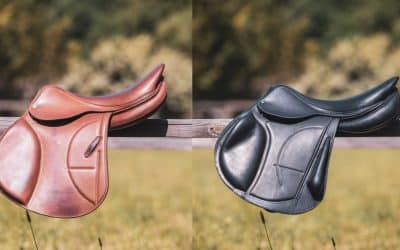 Your custom saddle by Arion Hst !