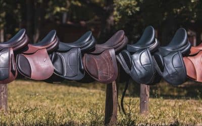 Our high quality horse saddle Arion HST