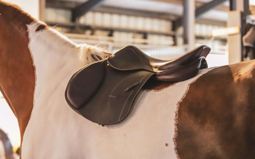 Your jumping saddle: get advice in France