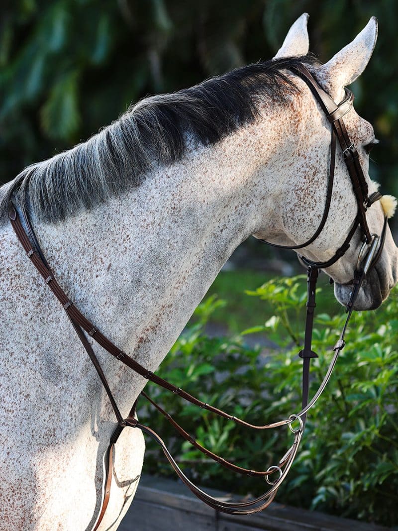 Contact Web Reins with Leather Stoppers