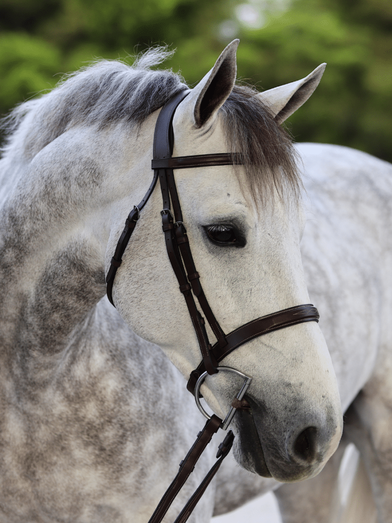 Hunter Bridle