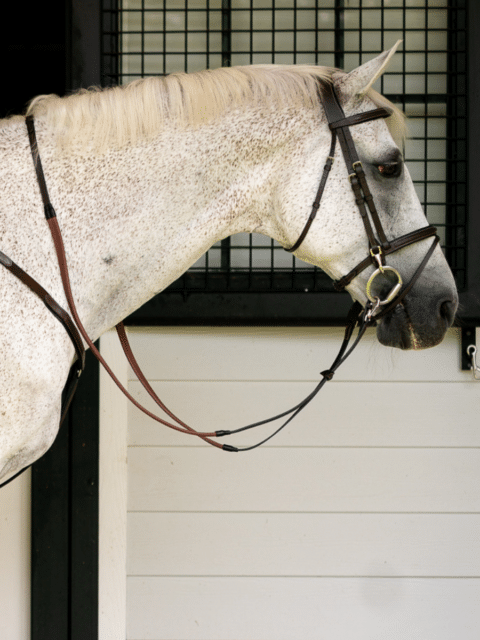 Étrier De Dressage En Cuir Arion HST - Noir - Neuf (petits Défauts Possibles)