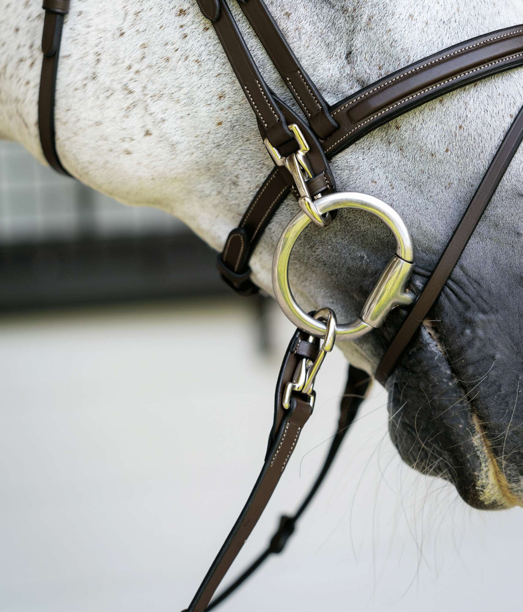 Complete Leather Bridle With Rubber Reins - Black Or Brown, Free Postage