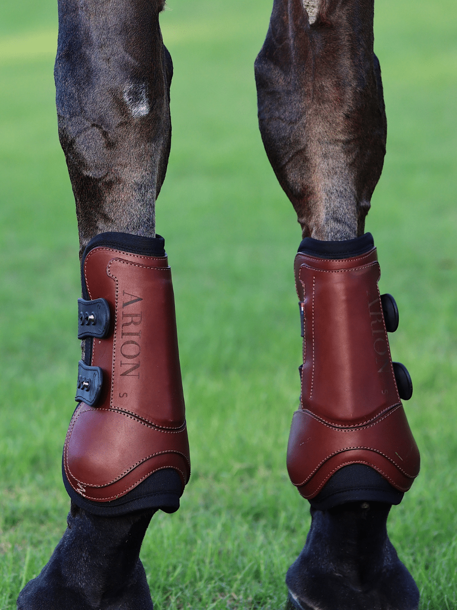 Pony jumping boots hotsell