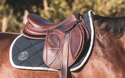 ENJOY THE COMFORT OF A LEATHER JUMPING SADDLE!