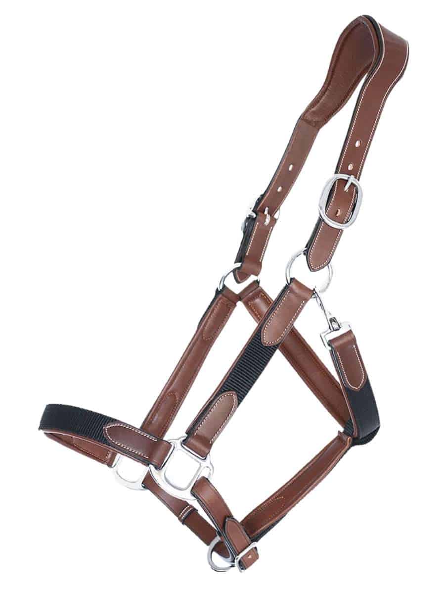 Padded Nylon Leather Halter and Rope